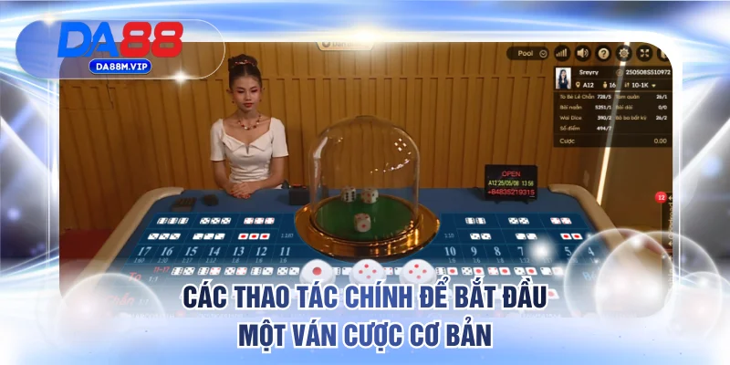 Các thao tác chính để bắt đầu một ván cược cơ bản